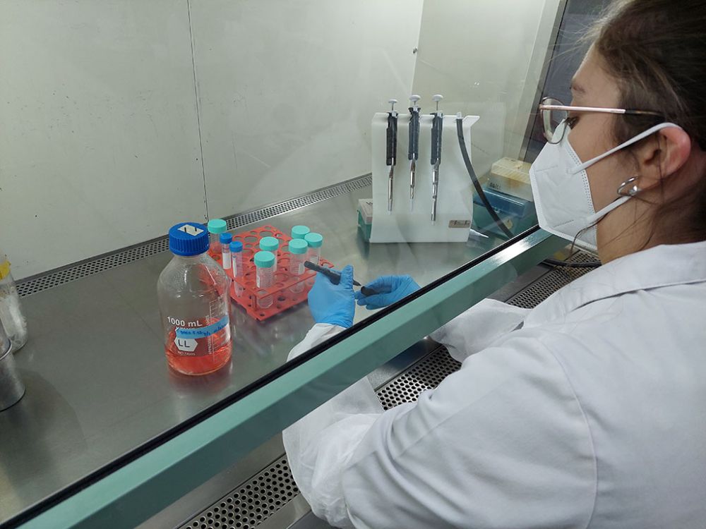 El trabajo fue realizado por el Centro de Estudios sobre Ejercicio, Metabolismo y Cáncer (CEMC) y el INTA de la Universidad de Chile